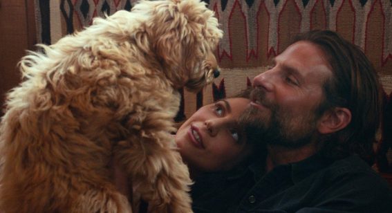 A Star Is Born keeps outshining box office rivals