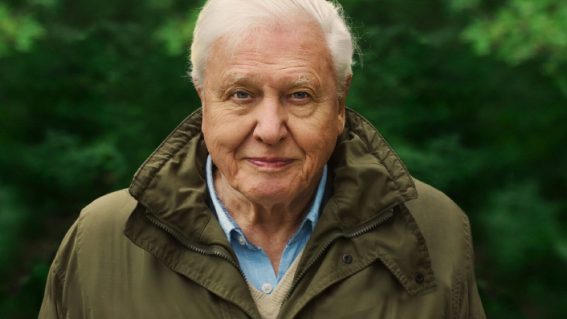 Why does David Attenborough’s A Life On Our Planet avoid the words ‘climate change’?