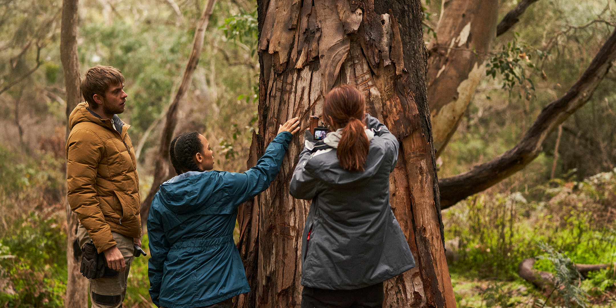 TAR Review  Adelaide Film Festival — Film Focus Magazine