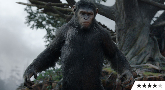 Review: Dawn of the Planet of the Apes