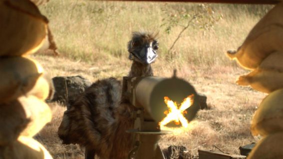 How to watch The Emu War in Australia