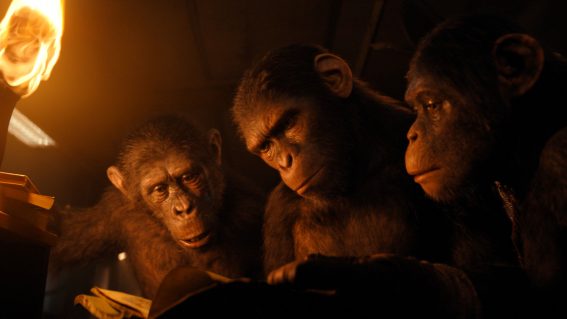 Australian box office report: Kingdom of the Planet of the Apes indeed…