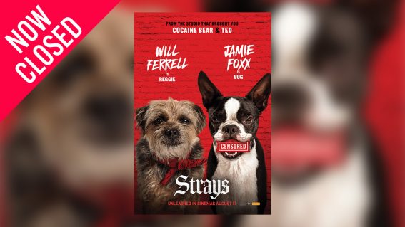Win tickets to R-rated talking doggo comedy Strays