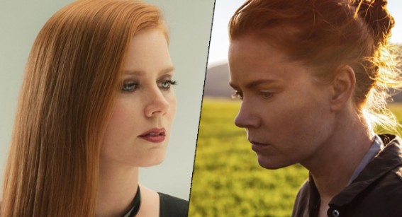 New to NZ Cinemas – Amy Adams, Amy Adams, & Other Films That Don’t Star Amy Adams