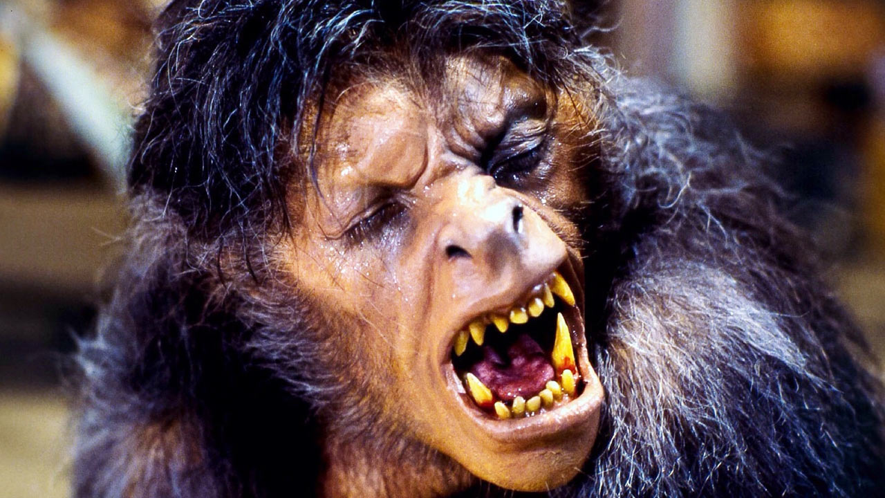 Full Moon Fever: The Werewolf Horror Movies of 1981 - Bloody Disgusting