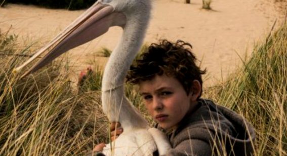 Release date confirmed for Storm Boy remake