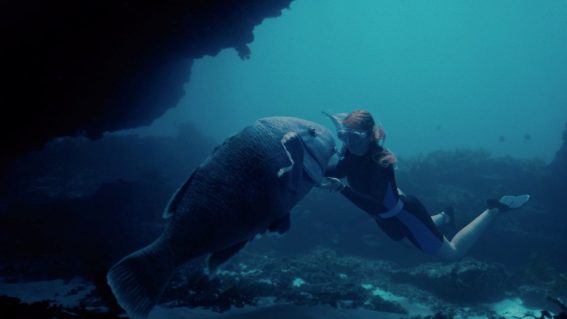 Aussie drama Blueback has been fast-tracked to digital release