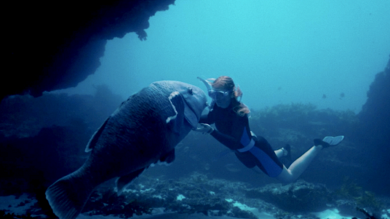 Trailer and release date for Blueback: Tim Winton’s ocean fable onscreen