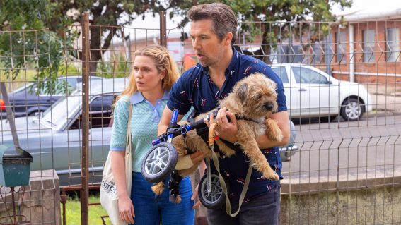 A guy, a girl and a dog share sweet chemistry in Aussie sitcom Colin from Accounts