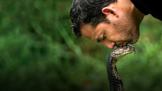 How to watch David Blaine Do Not Attempt in New Zealand