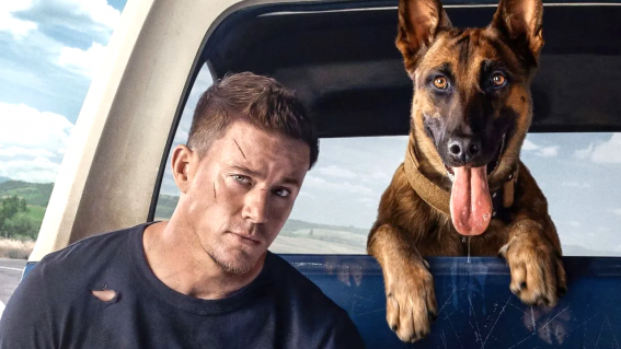 Everything we can learn from dogs (according to dog movies)