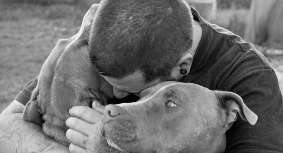 Dog’s Best Friend is a poignant look at a man who rescues neglected canines