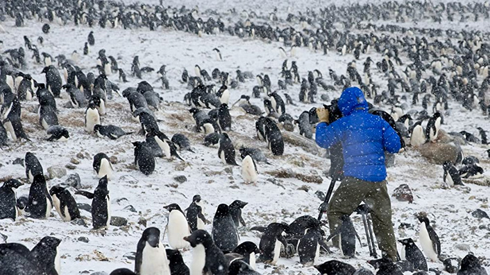 BBC's Frozen Planet