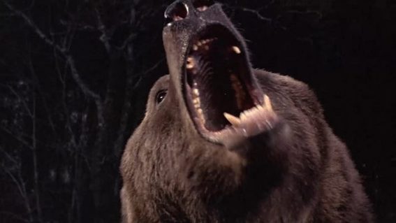 Grizzly II: after 40 years, a dodgy lost film with an awesome cast gets its first trailer