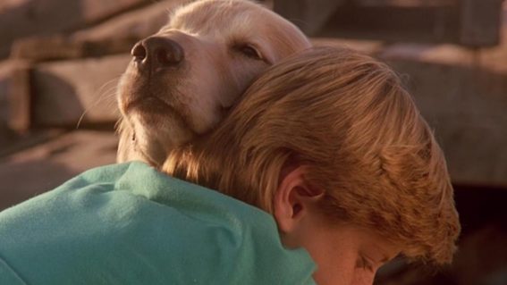 I still think about that harrowing pit scene from Homeward Bound