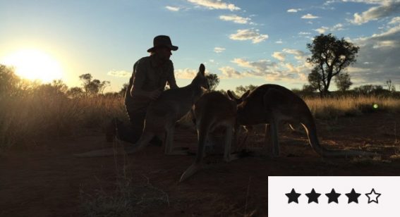 Kangaroo review: a bluntly effective piece of animal welfare advocacy