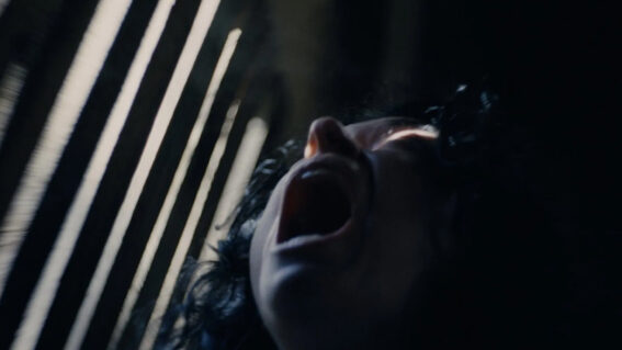 Horrors and thrillers to watch out for in November & December