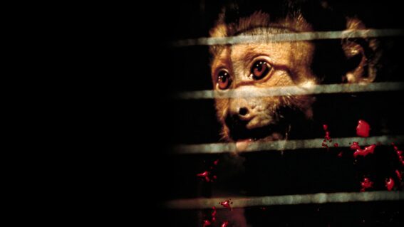 Retrospective: Monkey Shines is still the greatest evil monkey movie