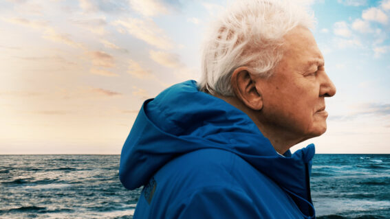 Ocean with David Attenborough is a softly-spoken sledgehammer