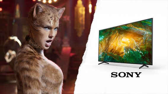 Weekly Quiz #4: Win a Sony 65” 4K HDR LED Android Smart TV