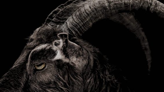 The best 25 horror movies on Amazon Prime Video Australia